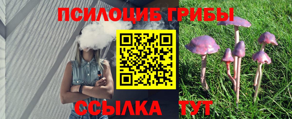 Галлюциногенные грибы Psilocybe  Вход с VPN  Тара 