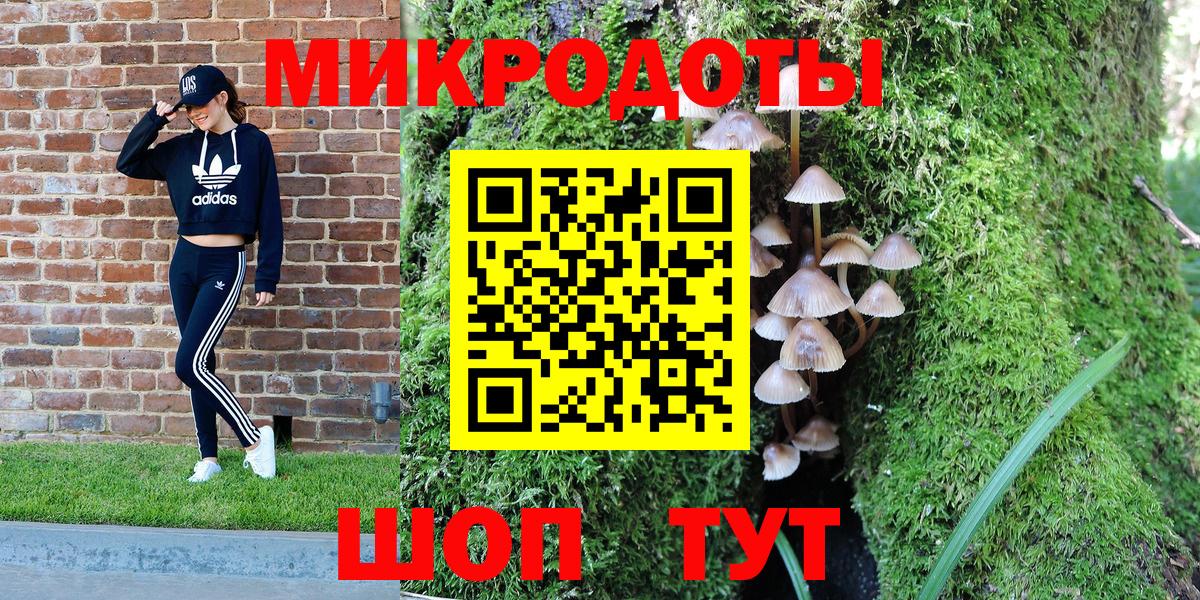 Галлюциногенные грибы Cubensis Тара
